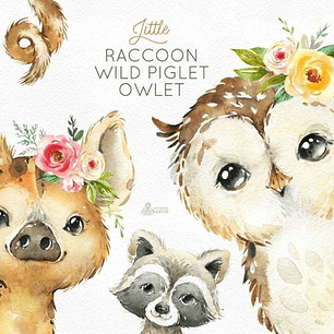 Cliparts Png Mapache Lechuza Cerdo Watercolor O25