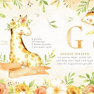 Cliparts Imagenes Png Jirajas Acuarelas Es27