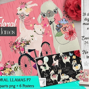 Cliparts Imagenes Png Papeles Llamas Alpacas Florales P7