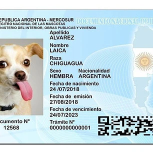 Dni Canino 100 % Editable Formato Psd