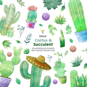 Cliparts Imagenes Png Cactus Suculentas Acuarela M9