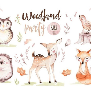 Cliparts Png Animales Del Bosque Acuarela Watercolor Pa72