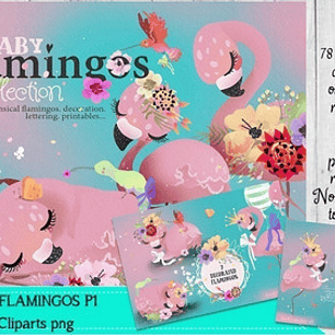 Cliparts Imagenes Png Flamencos Flamingos Bebes P1