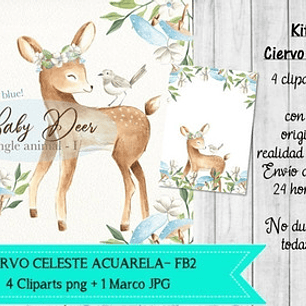 Cliparts Png Ciervo Celeste Varon Acuarela Fb2