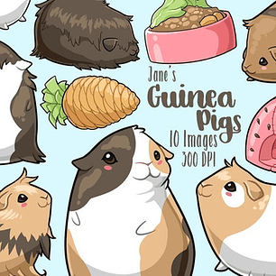 Cliparts Imagenes Png Chanchitos De La India De Colores Jk28