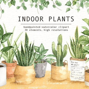 Cliparts Imagenes Png Plantas Interiores Acuarelas Es25