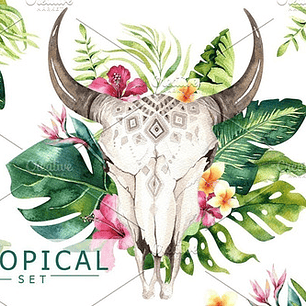 Cliparts Png Tribal Boho Plumas Acuarela Watercolor Pa52