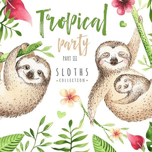 Cliparts Png Sloth Perezosos Acuarela Watercolor Pa54
