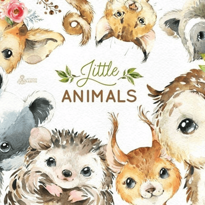 Cliparts Png Animales Del Bosque Acuarela Watercolor O21 1