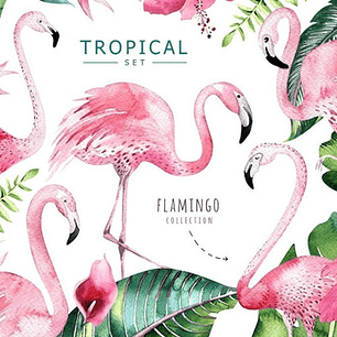 Cliparts Png Flamencos Tropical Acuarela Watercolor Pa55