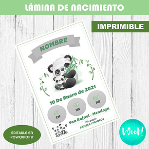 Plantilla Lámina Cuadro Imprimible De Nacimiento Editable