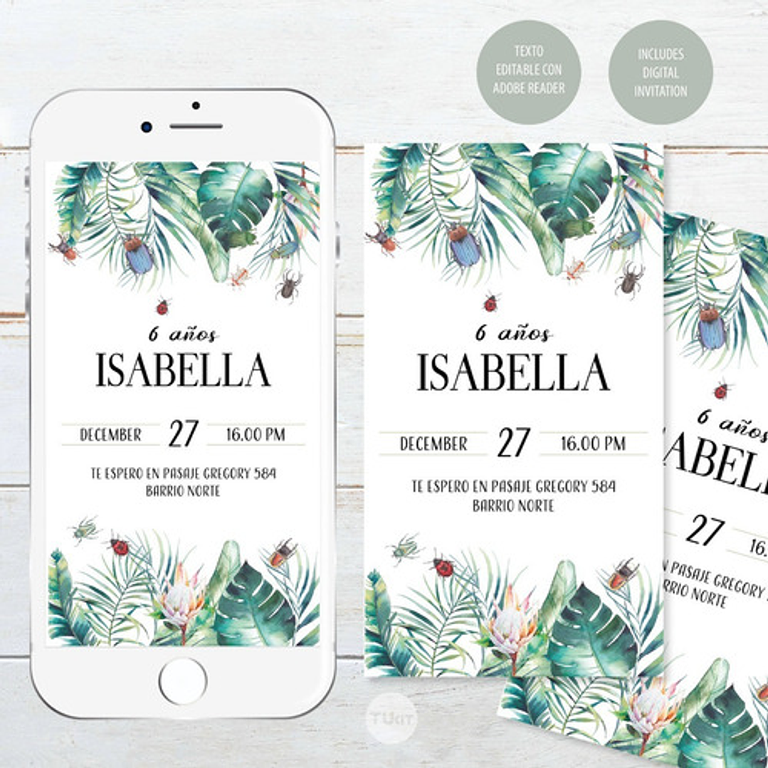 Kit Imprimible Mariquita Ladybug Bichos Tukit 3