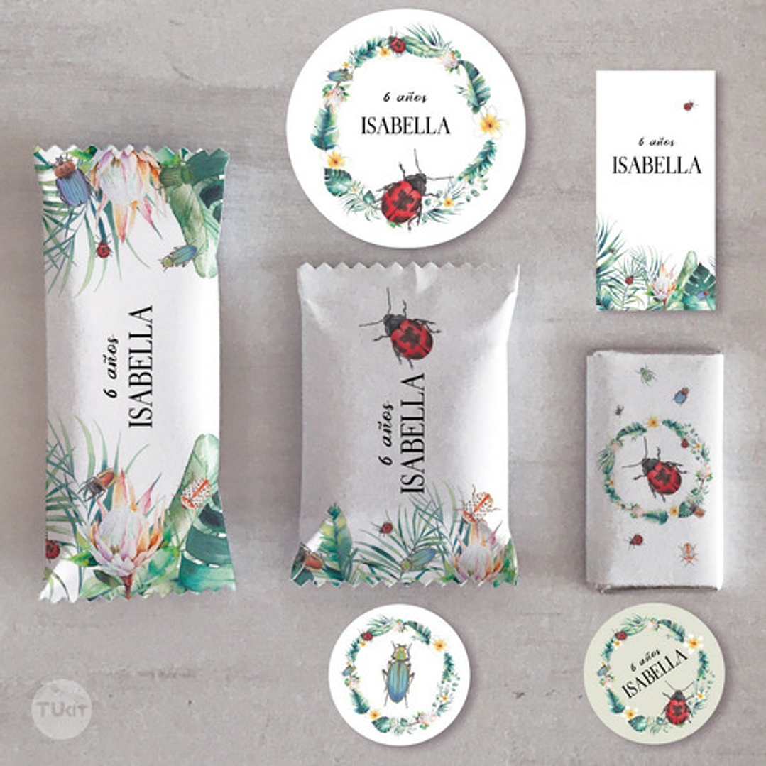 Kit Imprimible Mariquita Ladybug Bichos Tukit 9