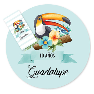 Kit Imprimible Tucan Toucan Tucanes Toucans Aves Birds Candy