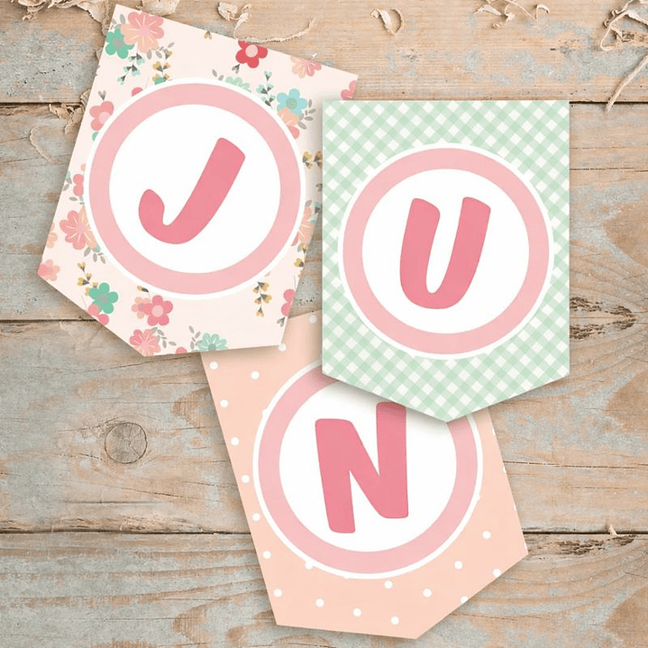 Kit Imprimible La Granja De Zenón Nena Rosa Editable  2