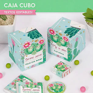 Cactus: cajita cubo Descarga GRATIS