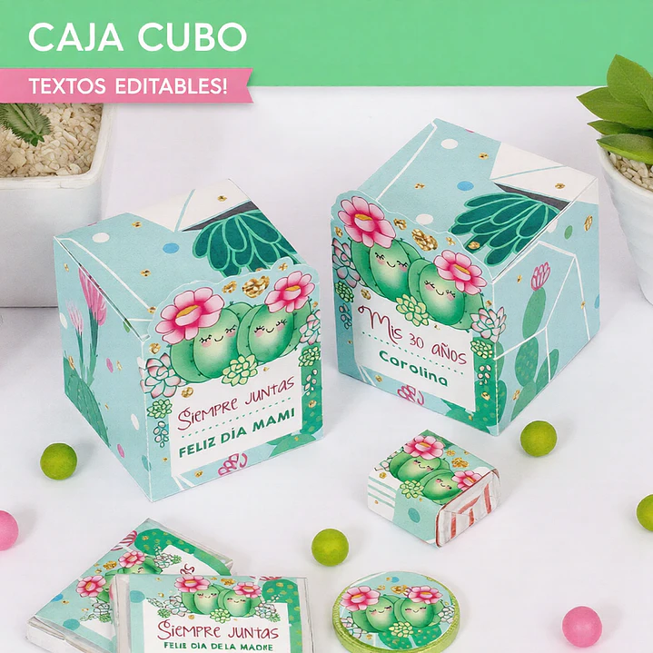 Cactus: cajita cubo Descarga GRATIS 1