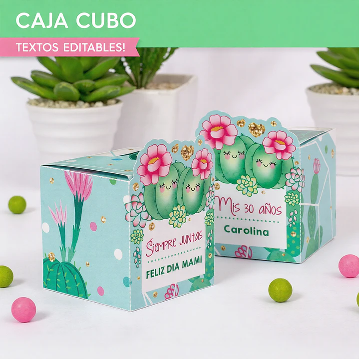 Cactus: cajita cubo Descarga GRATIS 4