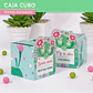 Cactus: cajita cubo Descarga GRATIS - Miniatura 4