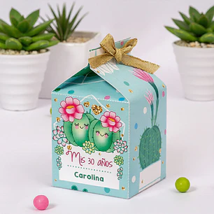 Cactus: cajita milkbox Descarga GRATIS