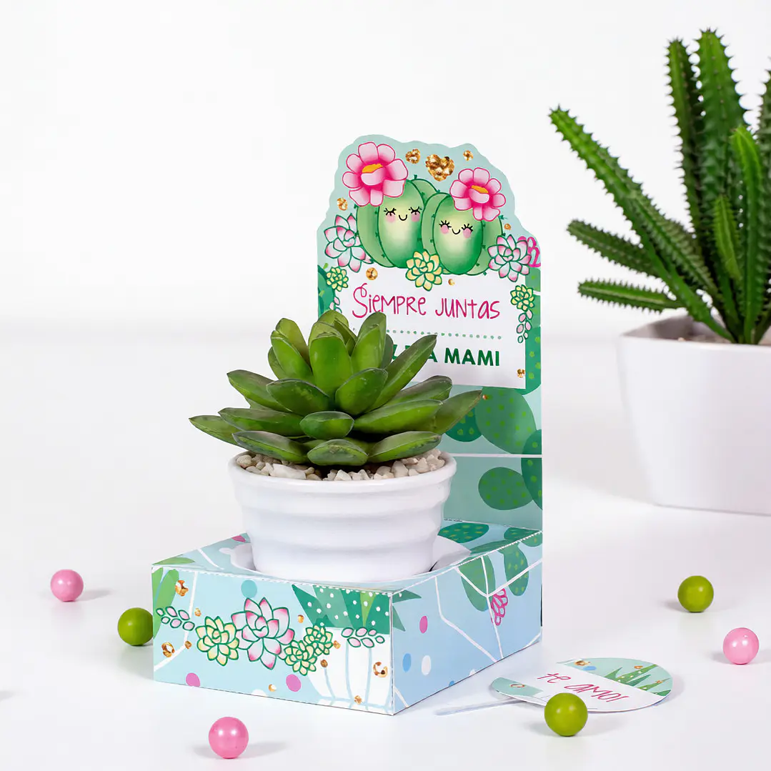 Cactus: cajita porta regalo Descarga GRATIS 2