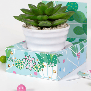 Cactus: cajita porta regalo Descarga GRATIS