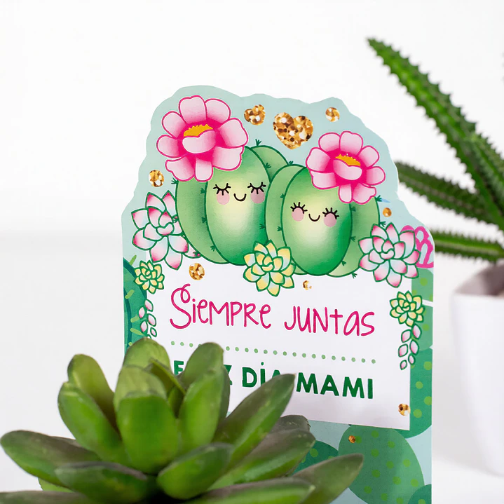 Cactus: cajita porta regalo Descarga GRATIS 3