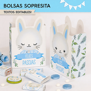 Conejito: bolsas sorpresita para imprimir  Descarga GRATIS