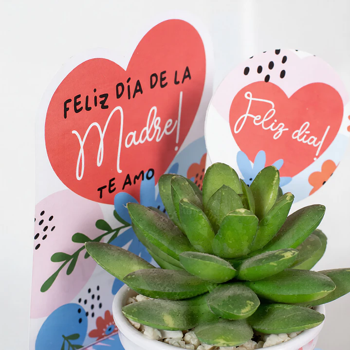 Floral MOD 1: cajita porta regalo Descarga GRATIS 2