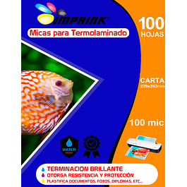 100 Micas Para Termolaminadora Plastificadora Carta 100mic para Laminado