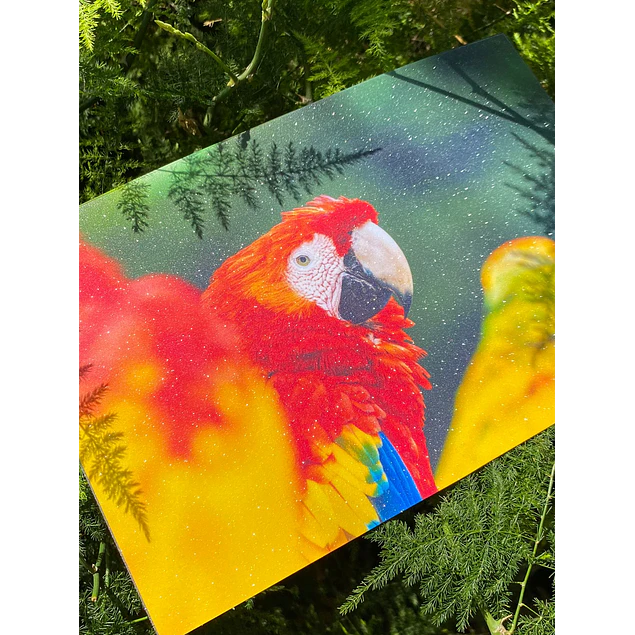 ÚLTIMAS UNIDADES!! Laminado en Frio Transparente Efecto Punto (Glitter) A4/50 hojas