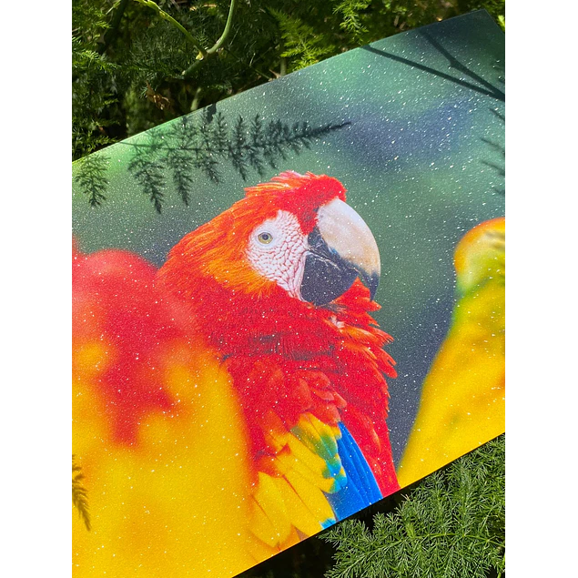 ÚLTIMAS UNIDADES!! Laminado en Frio Transparente Efecto Punto (Glitter) A4/50 hojas