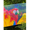 ¡¡ÚLTIMAS UNIDADES!! Laminado en Frio Transparente Holografico Efecto Vitral A4/50 Hojas