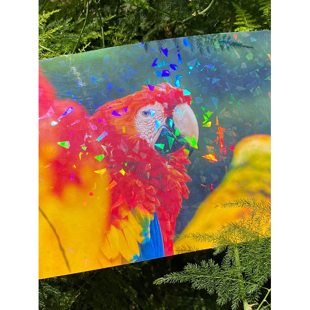 ¡¡ÚLTIMAS UNIDADES!! Laminado en Frio Transparente Holografico Efecto Vitral A4/50 Hojas