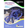¡SEGUNDA SELECCIÓN! Vinilo Tornasol Adhesivo Holografico TRANSPARENTE  A4/6 hojas