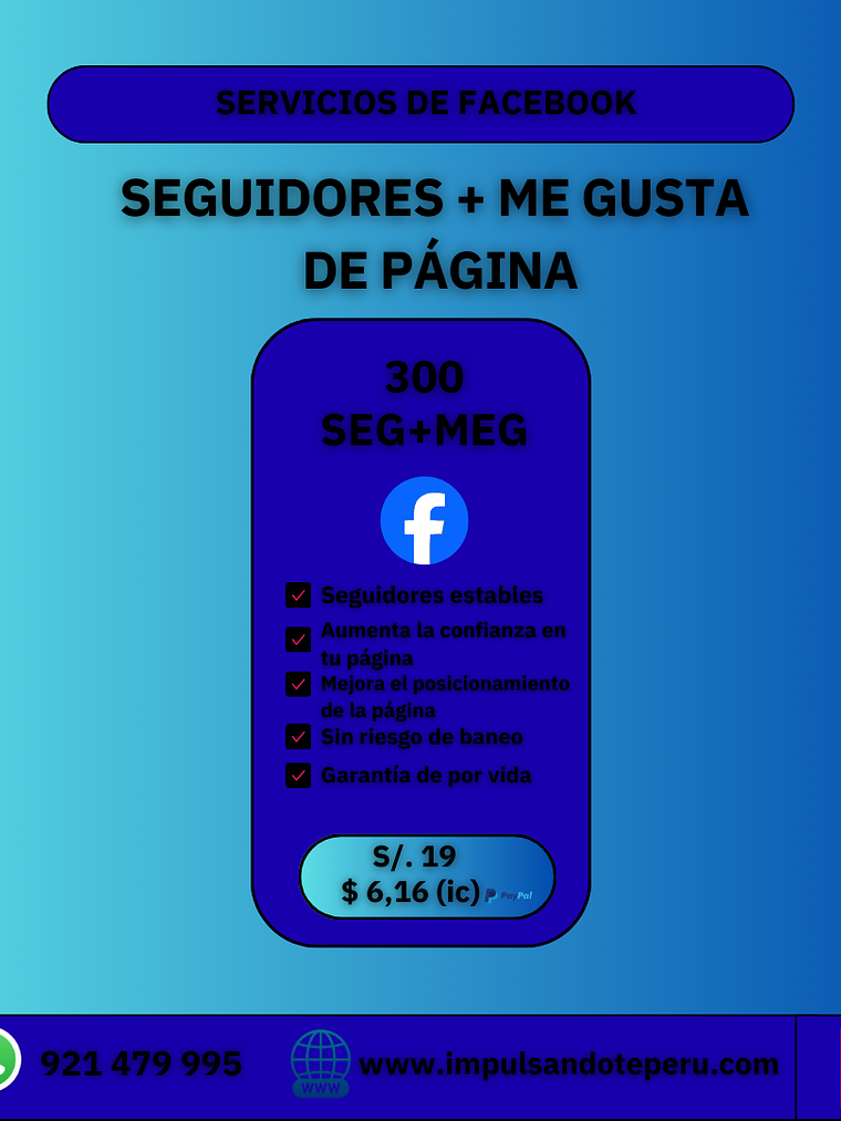 300 SEGUIDORES DE FACEBOOK 1