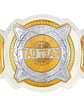 WWE WOMENS TAG TEAM CHAMPIONSHIP - CINTURÓN DE LUCHA LIBRE  - Miniatura 1
