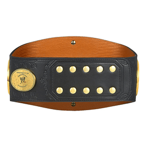 WWE WOMENS CHAMPIONSHIP 02-10 - CINTURÓN DE LUCHA LIBRE