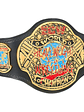 ECW WORLD HEAVYWEIGHT CHAMPIONSHIP - CINTURÓN DE LUCHA LIBRE - Miniatura 4