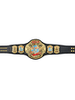 ECW WORLD HEAVYWEIGHT CHAMPIONSHIP - CINTURÓN DE LUCHA LIBRE - Miniatura 2
