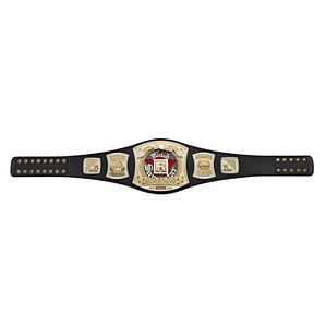 WWE EDGE RATED R SUPERSTAR CHAMPIONSHIP - CINTURÓN DE LUCHA LIBRE