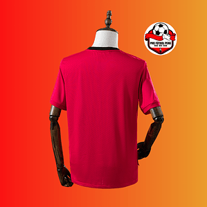 Camiseta del Manchester United 2010