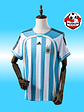 Camiseta local de Argentina 2006 copa del mundo - Miniatura 1