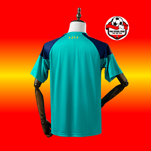 Camiseta de arquero de España Campeón del Mundo 2010 