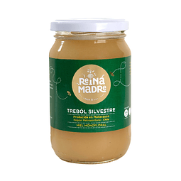 Miel de Trébol Silvestre Cruda y sin filtrar 500 grs Reina Madre