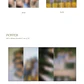 MAMAMOO - 11TH MINI ALBUM [WAW] - thumbnail 4