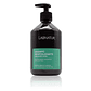 Champú Revitalizante con Aloe Vera Labnatur 500 ml  - Miniatura 1
