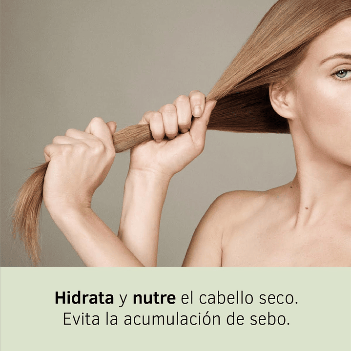 Champú Regenerador Argán y Jojoba Labnatur 250 ml  2