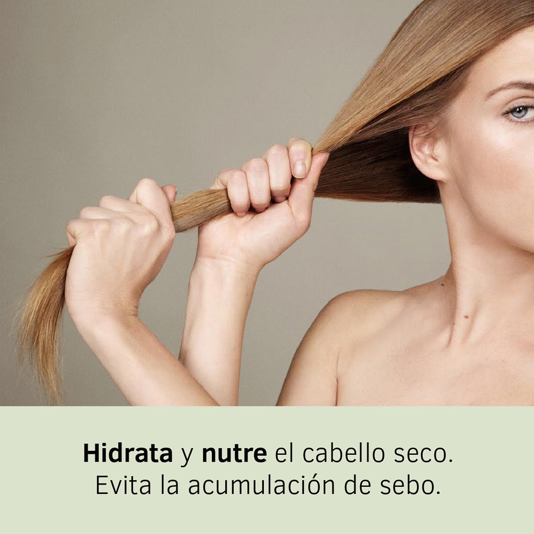 Champú Regenerador Argán y Jojoba Labnatur 500 ml  2