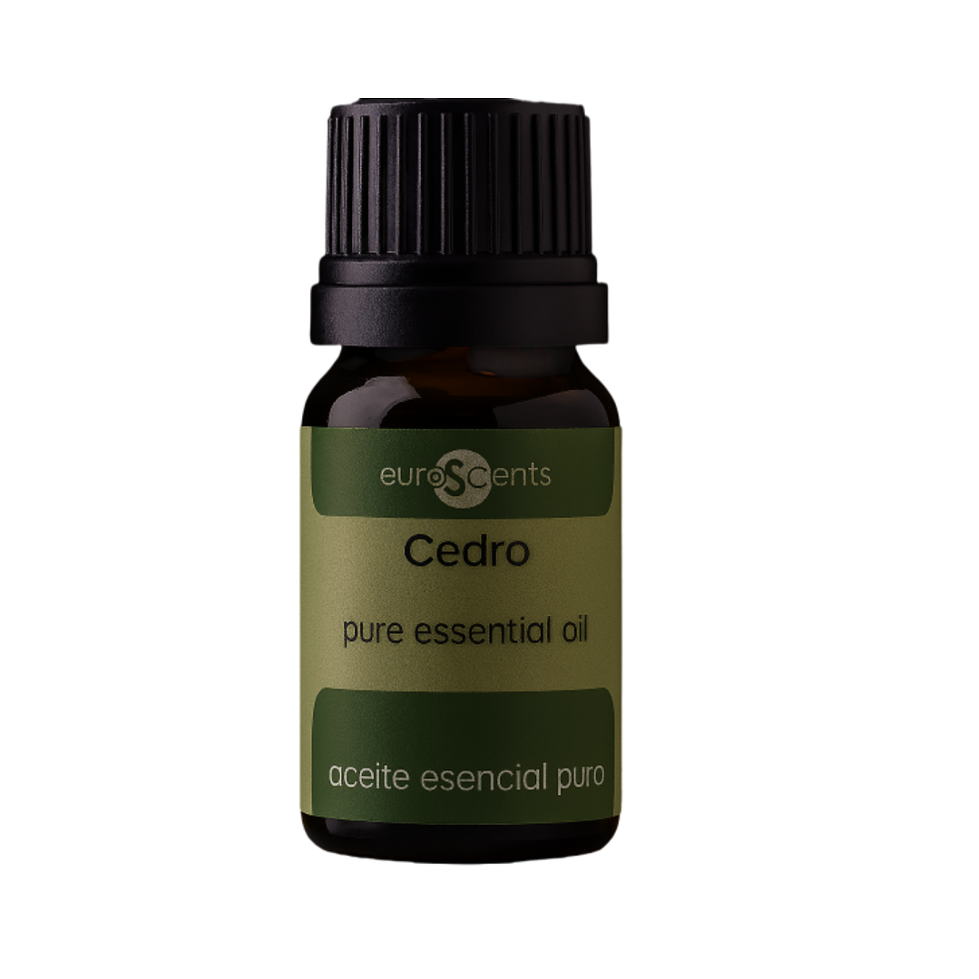 Aceite Esencial Puro para Terapias/Difusor/Nebulizador Cedro Euroscents 10 ml 1